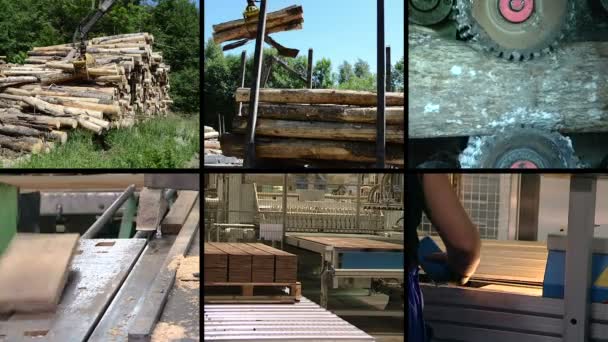 Wood transport. Golv parkett produktion. Klipp collage — Stockvideo