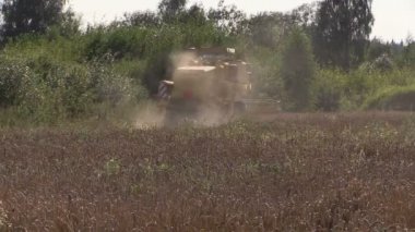 Modern makineleri Hasat buğday tahıl alan forest yakınındaki
