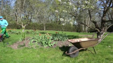 adam kesme mow çim kesme biçme makinesi çim paslı barrow içine koymak. 4k