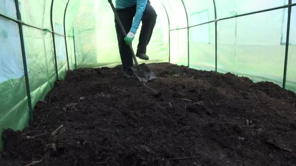 农民挖地面在温室中的，并检查土壤肥力。4 k — 图库视频影像