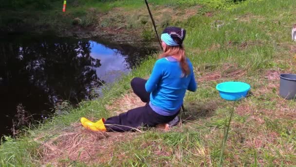 Fille jeter la canne dans l'étang, la pêche à terre. chat tabby marcher autour . — Video