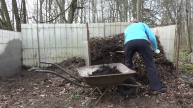 adam çatal yük kompost içine arka bahçesinde eski el arabası ile