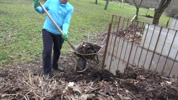 Werknemer tuinman laden compost met vork in oude landelijke kruiwagen — Stockvideo