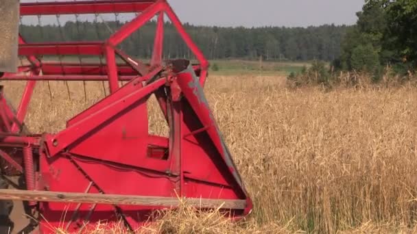 Moissonneuse-batteuse agricole coupée champ de blé mûr 