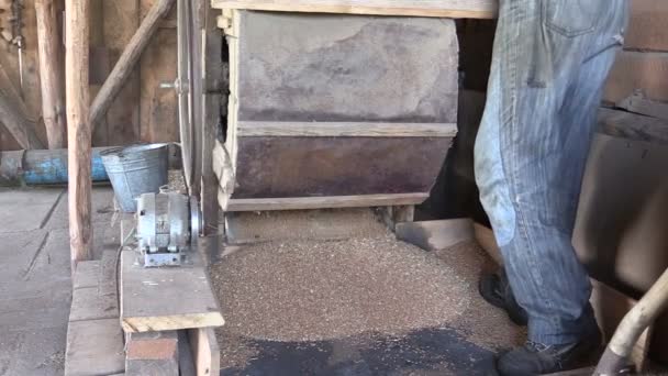 Primer plano de la vieja maquinaria de arpa de limpieza de grano manual en el granero — Vídeo de stock