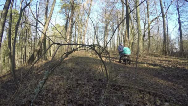 Padre empuje carro de bebé en camino de bosque de primavera. 4K — Vídeos de Stock