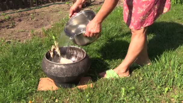 Woman pour boiling hot water on dead broiler chicken bird in pot — Stock Video