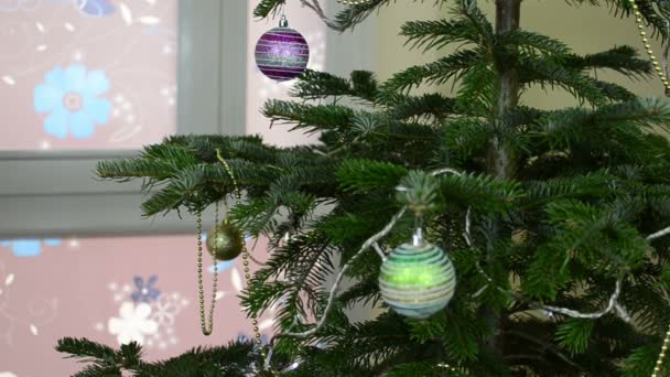 Dívka viset dekorativní hračka míč na vánoční strom větev — Stock video