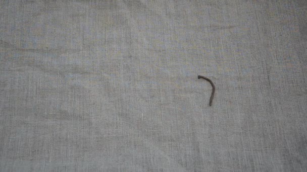 Las uñas oxidadas dobladas caen sobre el lino y la mano ponen una herramienta de pinzas retro — Vídeo de stock