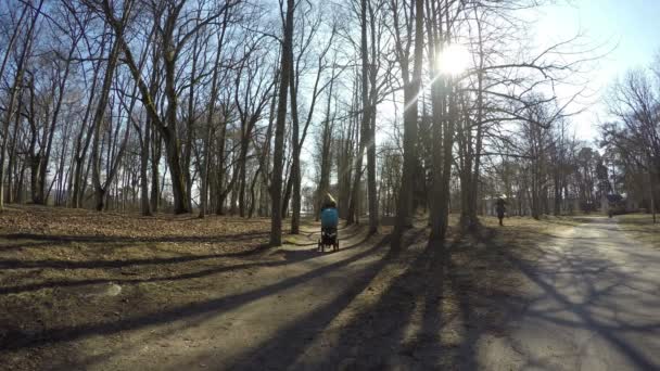 Girl push blue baby carriage in spring park tree alley. 4K — Stock Video