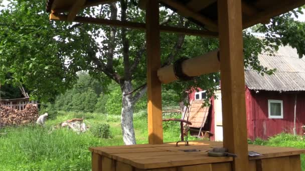 Mann hackt Holz im Gehöft, tägliche Dorfarbeit — Stockvideo