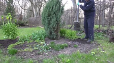 Ot çiçek yatak ardıç bush ve çiçekler tuttum çiftçi dostum. 4k