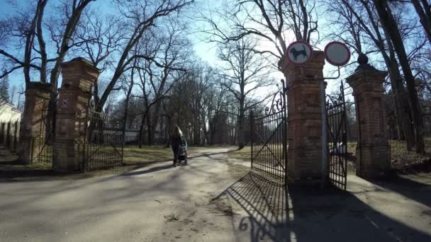 Madre con cochecito azul paseo retro parque puerta en primavera. 4K — Vídeo de stock