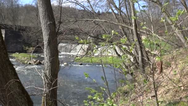 Beautiful nature view ripply waterfall in early spring park. — Stock Video