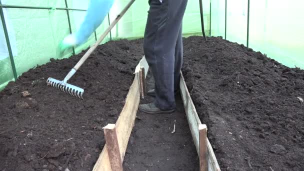 Jardinero preparar cama de tierra con rastrillo herramienta en invernadero. 4K — Vídeos de Stock