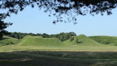 Çam ağacı dalları ve peyzaj Kernave'hill höyüğün