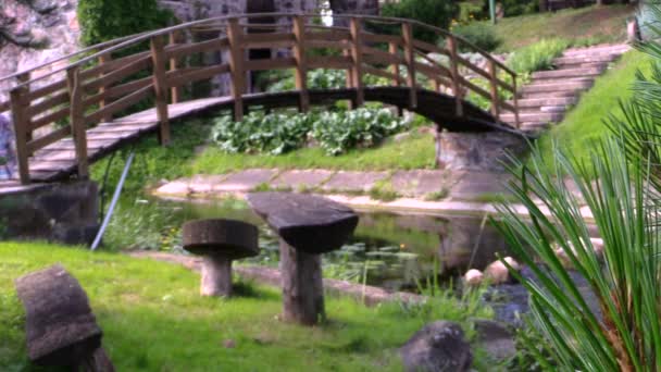 Rama de pino y mujer caminar puente de madera sobre el agua del río — Vídeos de Stock