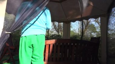 Çiçekçi adam dap arbor masaya Lale çiçek baharda. 4k