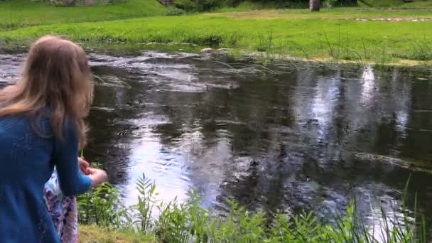 Chica sentarse por el arroyo, tirando miga pato familia soleado día de verano — Vídeos de Stock