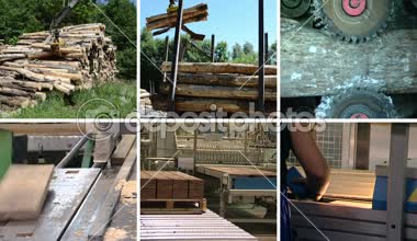 Ahşap ulaşım. Zemin parke üretim. Klip kolaj