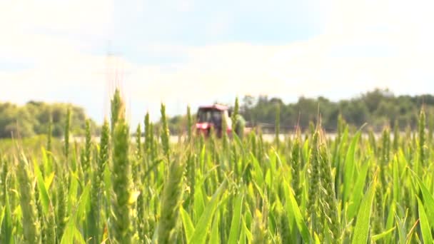 Пшеничные заводы и сельскохозяйственное тракторное поле с химическими веществами — стоковое видео