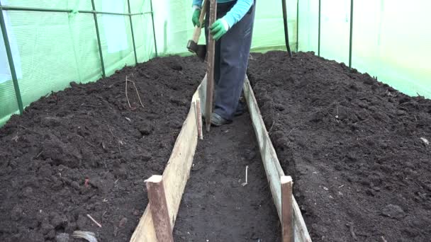 Paletto martello giardiniere per racchiudere percorso serra con assi. 4K — Video Stock