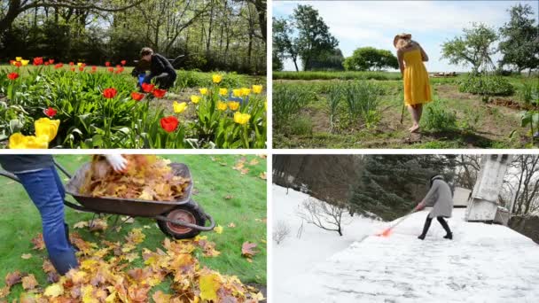 Woman work seasonal works in garden. Footage clips collage. — Stok video