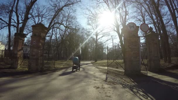 Padre hombre con cochecito azul paseo retro parque puerta en primavera. 4K — Vídeo de stock