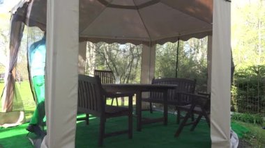 Bahçıvan adam emmek dap arbor masaya Lale çiçek baharda. 4k