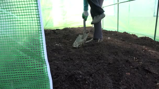 Bonde man gräva jord med spade verktyg i Hothouse. 4K — Stockvideo
