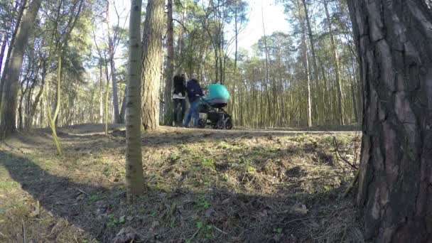 Amor pareja caminar con bebé carruaje en primavera bosque. 4K — Vídeos de Stock