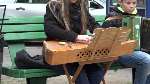 Girl hands play baltic psaltery string musical instrument. 4K — Stock Video