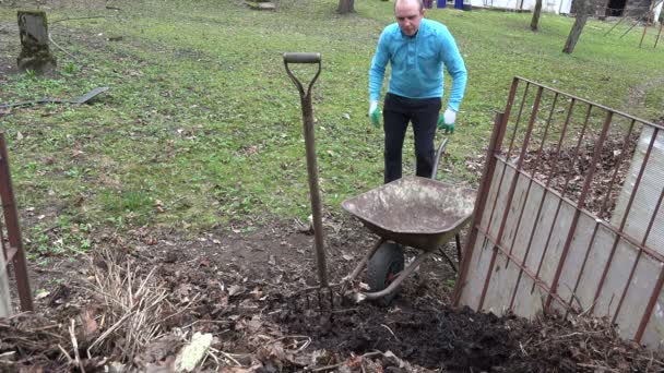Landwirt mit Mistgabelladung faulen Kompost Humus zu Schubkarre. 4k — Stockvideo