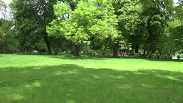 Los niños viajan con el supervisor en el parque verde del jardín botánico. 4K — Vídeo de stock