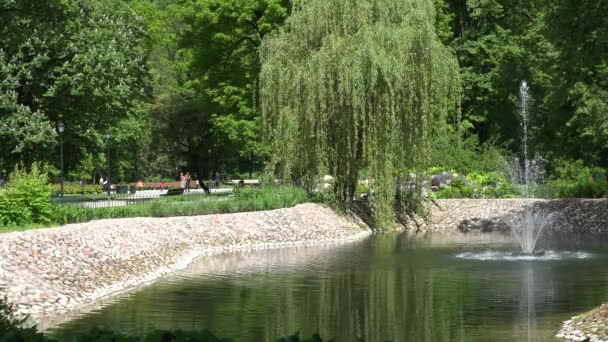 Belo parque de primavera e as pessoas passaram o tempo de lazer. 4K — Vídeo de Stock