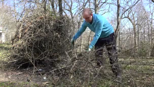 Cansado agricultor homem transportar galhos de árvores cortadas e colocar em pilha. 4K — Vídeo de Stock
