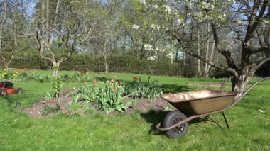 mow çim adamım. Paslı barrow. Çiçekler ve çiçek açan ağaçlar. 4k