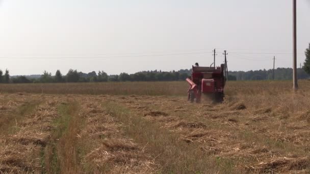 agriculteur avec moissonneuse dans le champ d'orge. Activités en milieu rural 
