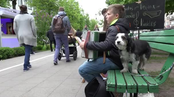 一緒に犬のベンチにアコーディオンのシッと少年音楽家遊ぶ — ストック動画