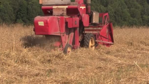 combiner dans le travail au champ d'orge près du travail saisonnier forestier .