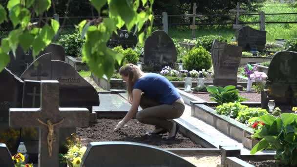 Joven viuda niña cuidado azada marido tumba en el cementerio. 4K — Vídeos de Stock