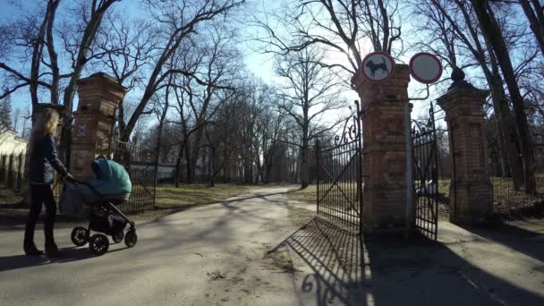 Mamma promenad med barnsittvagn i park, barn föräldraskap koncept — Stockvideo