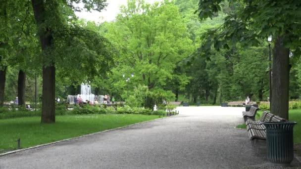 Зеленый парк с фонтаном и скалистой дорожкой — стоковое видео