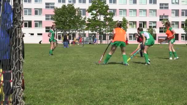 Vista trasera del equipo de hockey sobre hierba chica en estadio verde — Vídeos de Stock