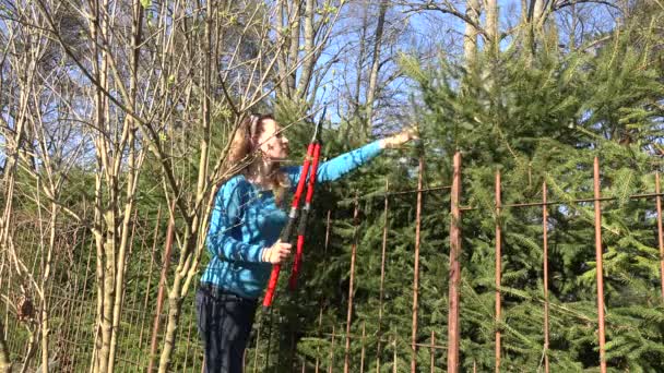 Woman cut fir branch with gardener pruning scissors. — Wideo stockowe