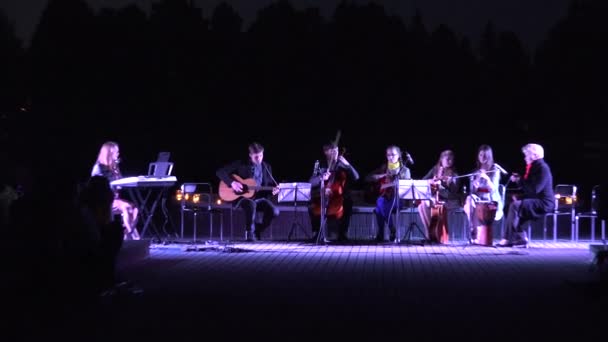 Musicisti spettacolo di notte nel parco della città — Video Stock