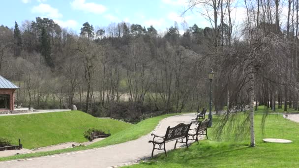 Ретро-скамейка под березой движется на ветру в весеннем парке. 4K — стоковое видео