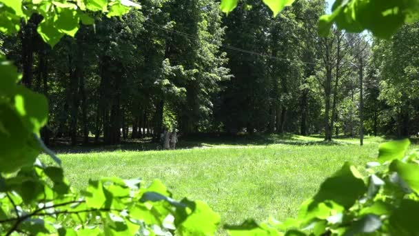 As pessoas caminham relaxam no parque. 4K — Vídeo de Stock