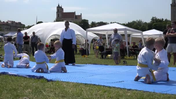Barn lär sig aikido art träning på matta i grön park. 4k — Stockvideo
