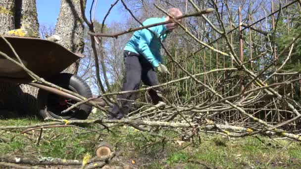 Hombre granjero cargar madera a carretilla en primavera. 4K — Vídeo de stock